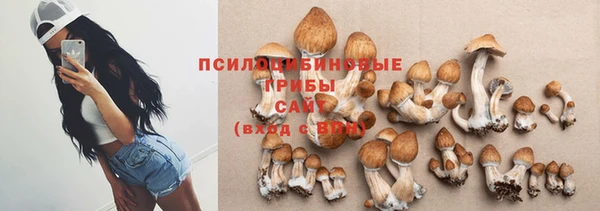 spice Алексеевка