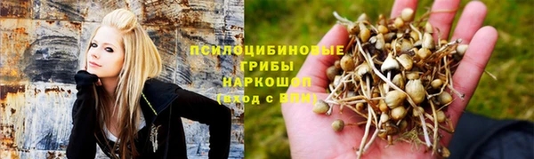 spice Алексеевка