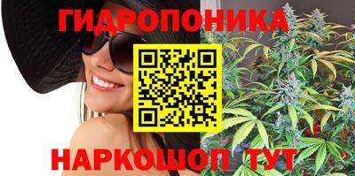прущие крисы Кингисепп
