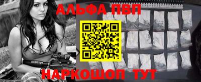 прущие крисы Кингисепп