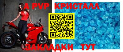 прущие крисы Кингисепп