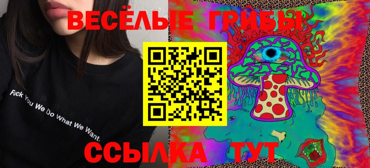 Кириши  Псилоцибиновые грибы ЛСД  Вход с VPN  Галлюциногенные грибы мухоморы 